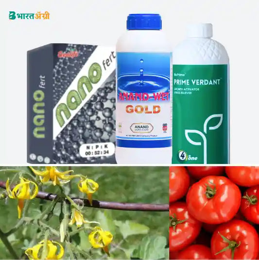 टमाटर बढ़त किट - फूलों का गिरना बंद करें (40-60 दिन) | Tomato Badhat Kit - Stop Flower Drop (40-60 days)