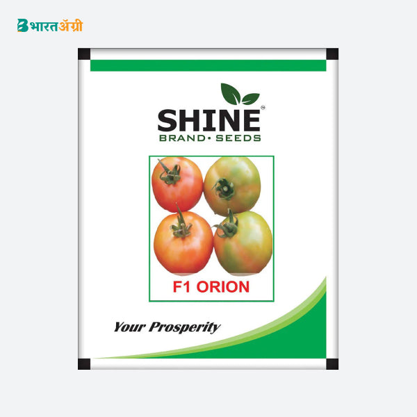 Tomato Orion F1 Hybrid - Shine Brand Seeds. - BharatAgri Krushidukan_1