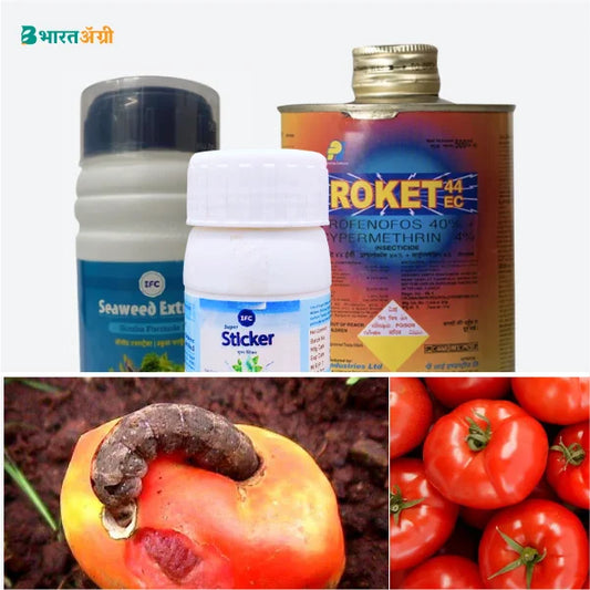 Tomato Suraksha Kit - Fruit Borer (50-150 days)