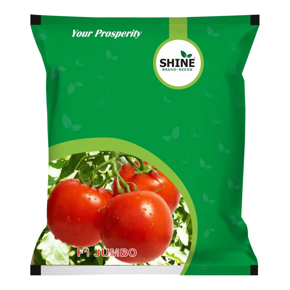 Hybrid Tomato Seeds Jumbo F1 (Shine Brands)