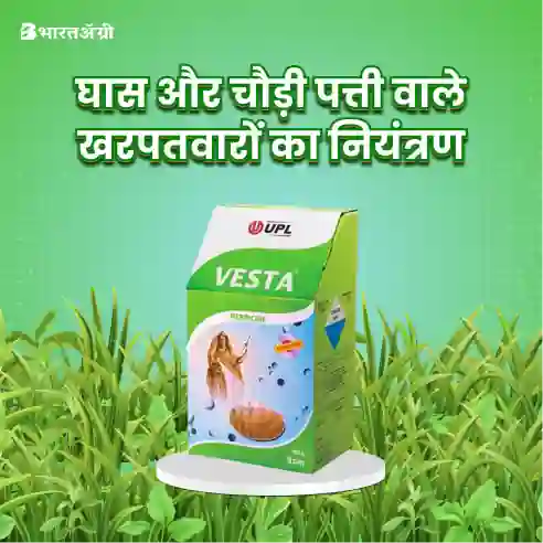 UPL Vesta Herbicide