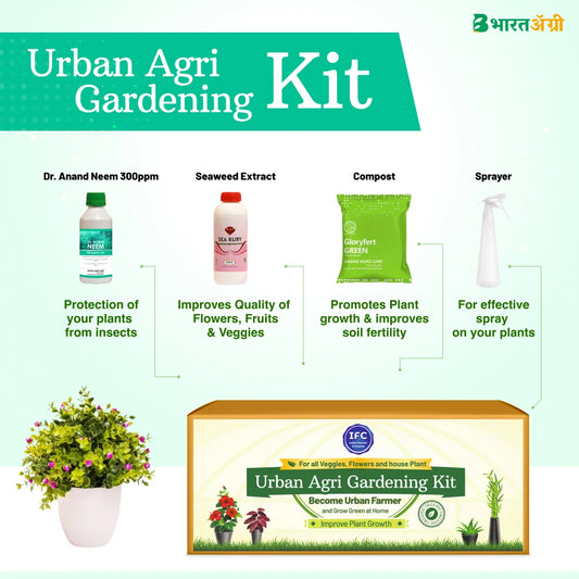 IFC Urban Agri Gardening Kit