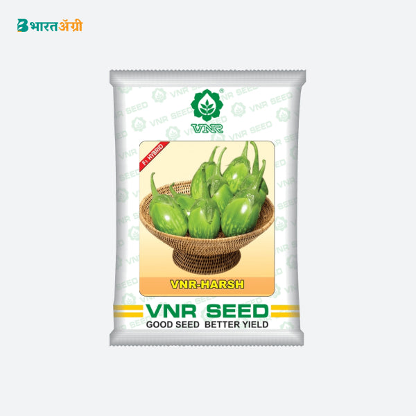 VNR Hybrid Harsh Brinjal Seeds - BharatAgri Krushidukan_1