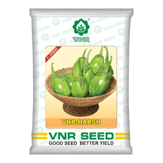 VNR Hybrid Harsh Brinjal Seeds