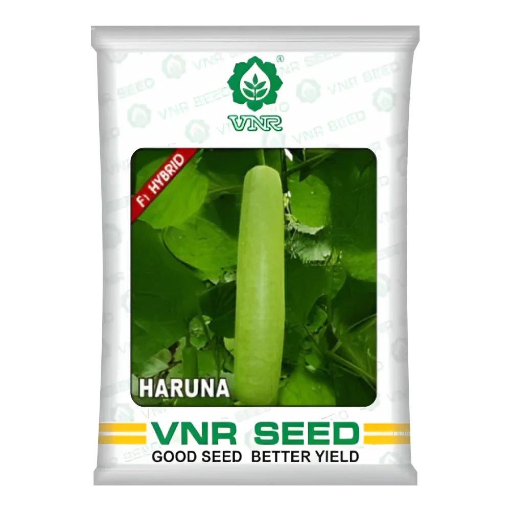 VNR Haruna F1 Hybrid Bottle Gourd Seeds