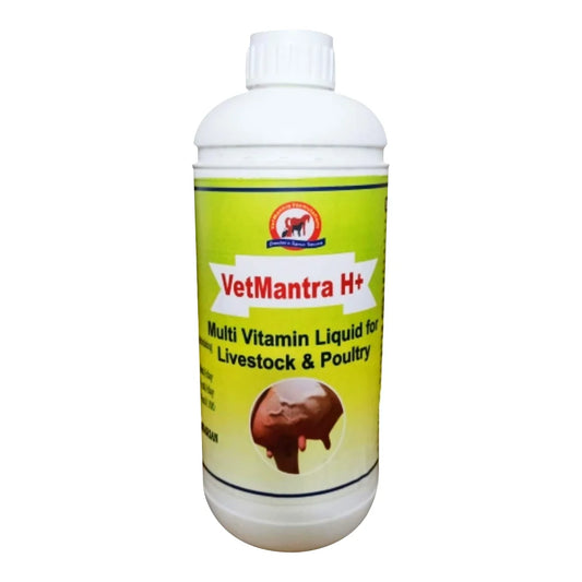 वेटमंत्रा H+ (प्लास्टिक पैक) मल्टीविटामिन | VetMantra H+ (Plastic Pack) Multivitamin