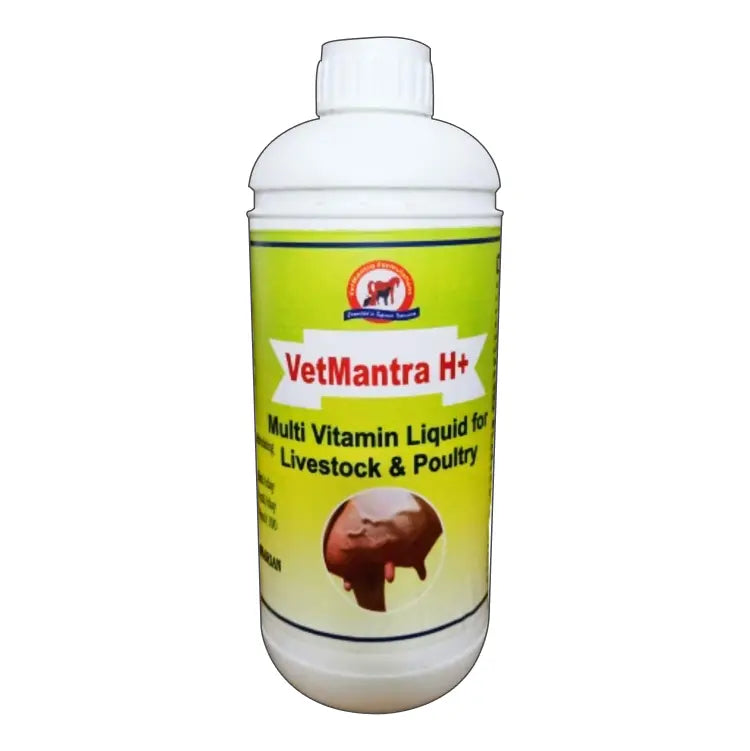 VetMantra H+ (Plastic Pack) Multivitamin