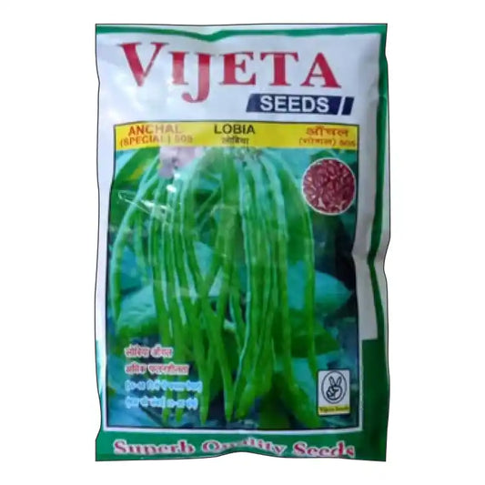 Vijeta Anchal (Special) 505 Lobia Seeds