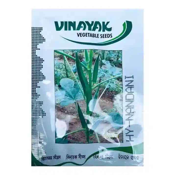 Vinayak Nandini Okra Seeds