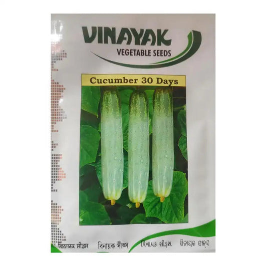 Vinayak Cucumber-30 Days Seeds