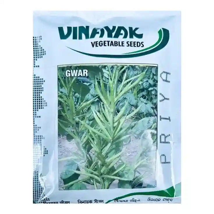 Vinayak Hybrid Deshi Priya Cluster Bean Seeds