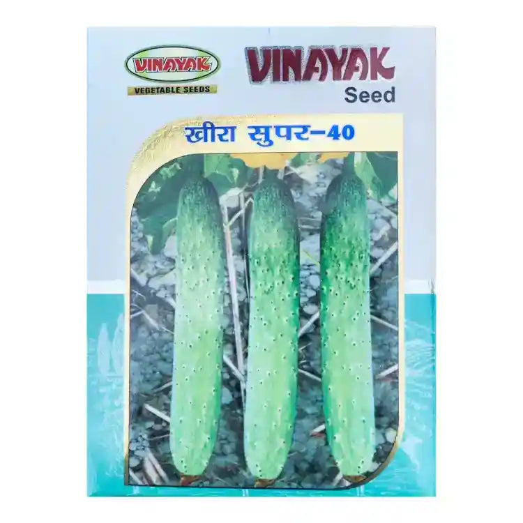 Vinayak Cucumber Super-40 Seeds