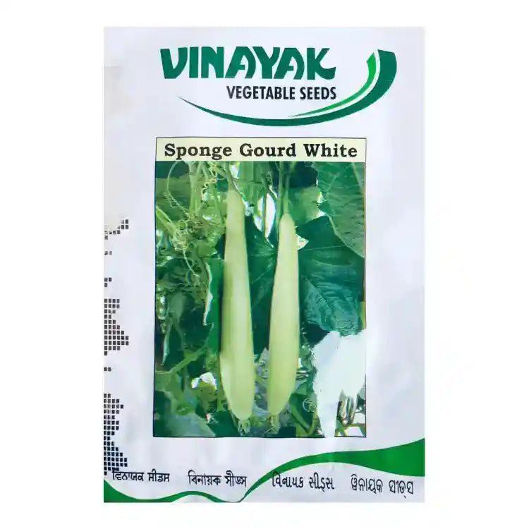 Vinayak White Sponge gourd Seeds