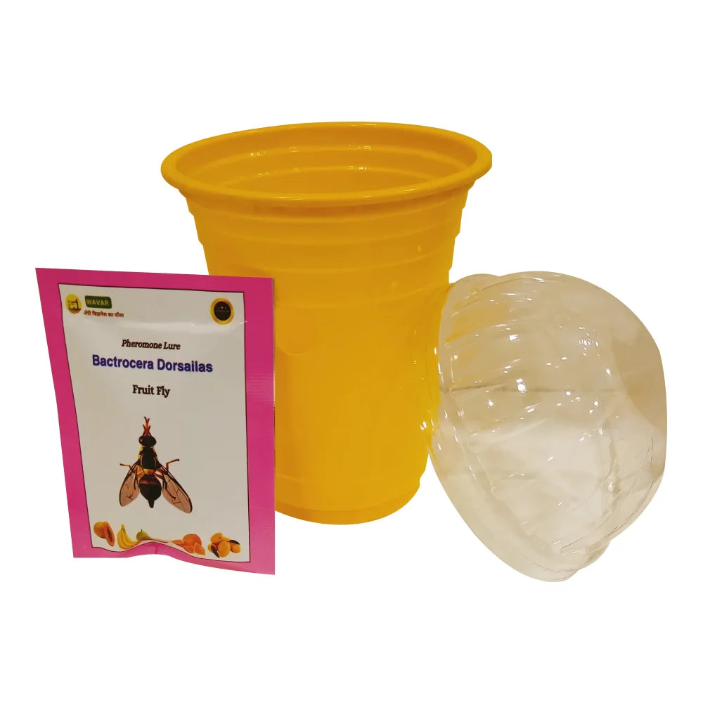 Wavar Fruit Fly Trap Dorsalis Lure