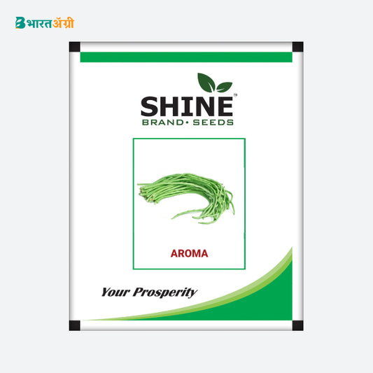 Yard Long Bean Aroma - Shine Brand Seeds - BharatAgri Krushidukan_1