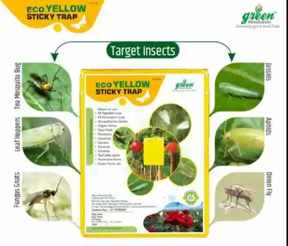 Green Revolution Eco Blue and yellow Sticky Trap (A5)