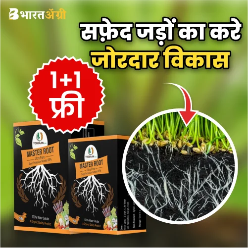 Master Root Super Potassium Humate 98% 1+1 Free – BharatAgri Krushi Dukan