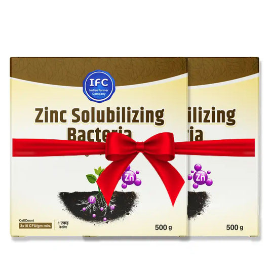 IFC Zinc Solubilizing Bacteria - 200 g (1+1 Combo)