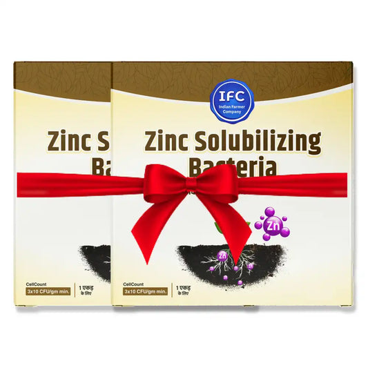 IFC Zinc Solubilizing Bacteria - 200 g (1+1 Combo)