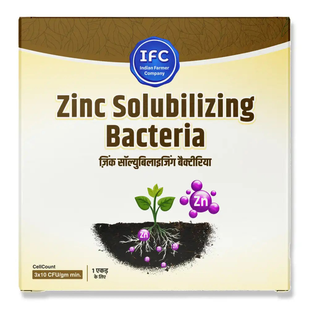 IFC Zinc Solubilizing Bacteria (ZSB)