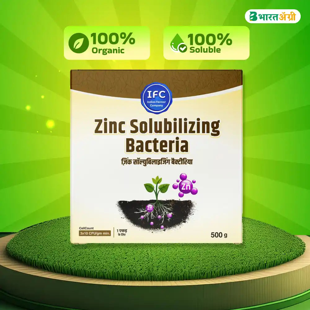 IFC Zinc Solubilizing Bacteria - 200 g (1+1 Combo)