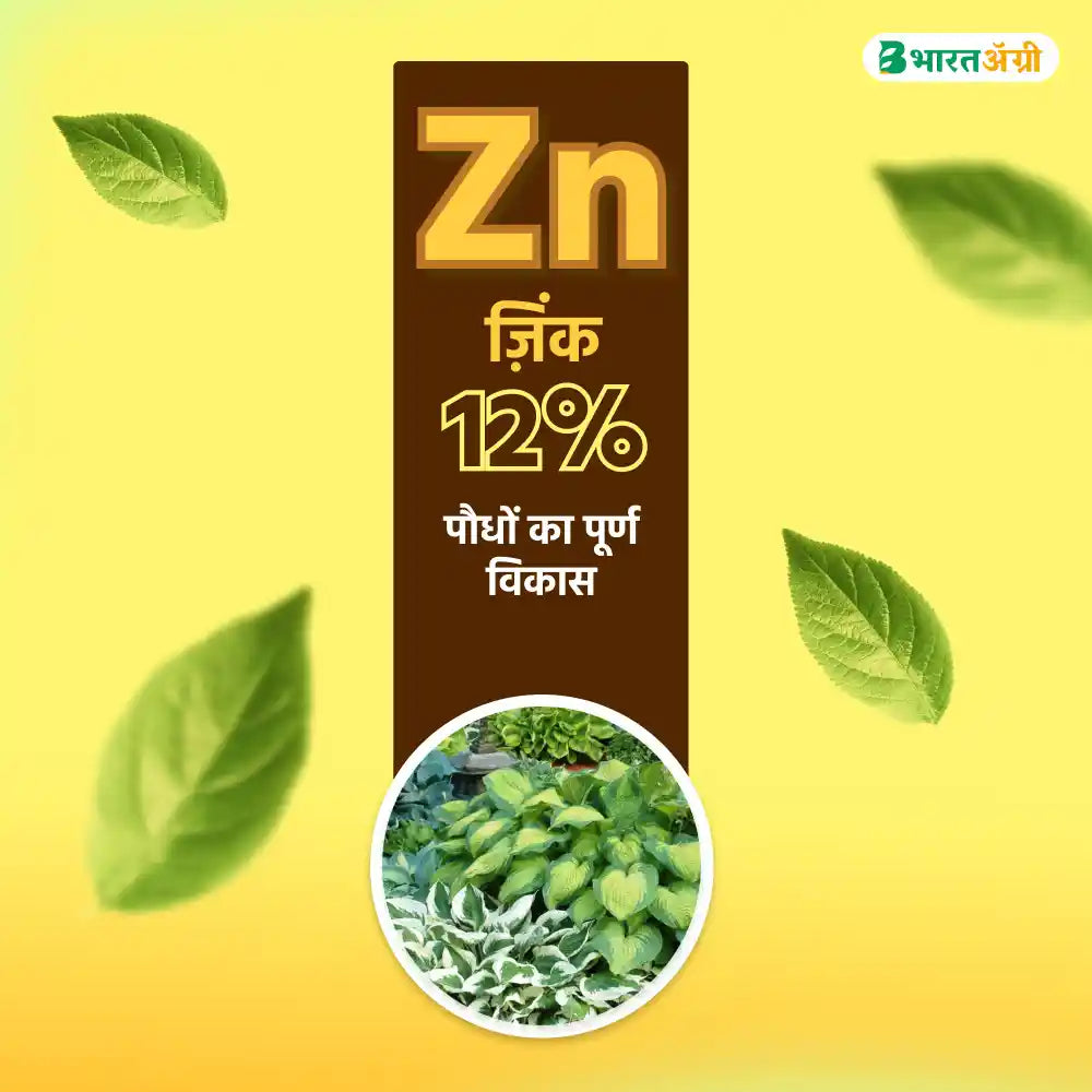 Zinc EDTA (Zinc 12%) Fertilizer IFC