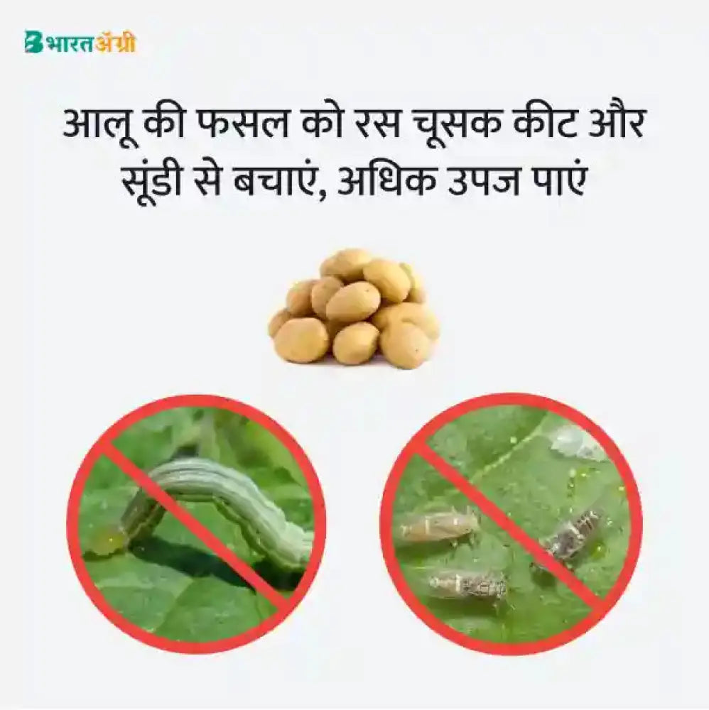 Potato Suraksha Kit - Caterpillar and Sucking Pest - Krushidukan_3