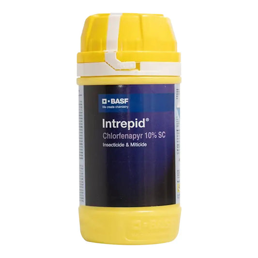 BASF Intrepid (Chlorfenapyr 10% SC) Insecticide