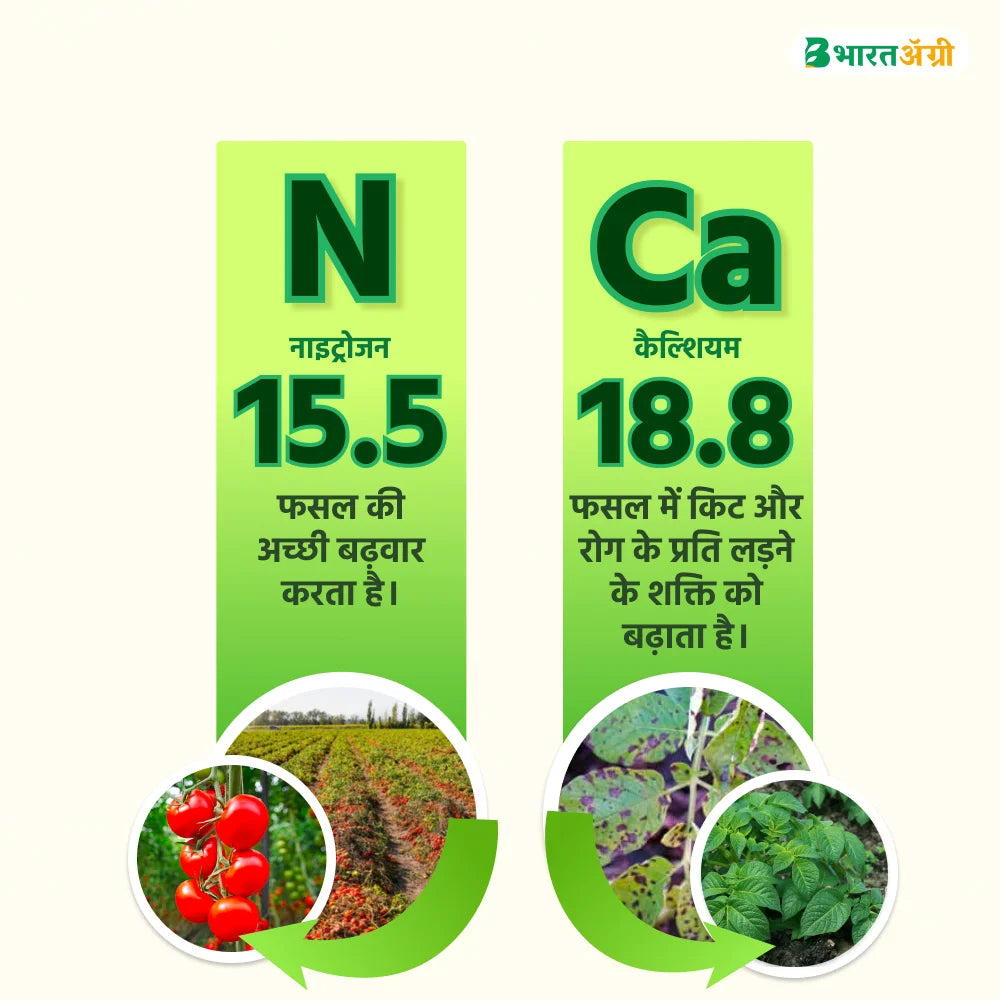 आईएफसी कैल्शियम नाइट्रेट पानी में घुलनशील उर्वरक (1+1 कॉम्बो)