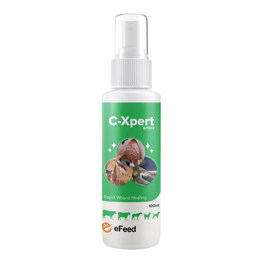 eFeed C-xpert spray