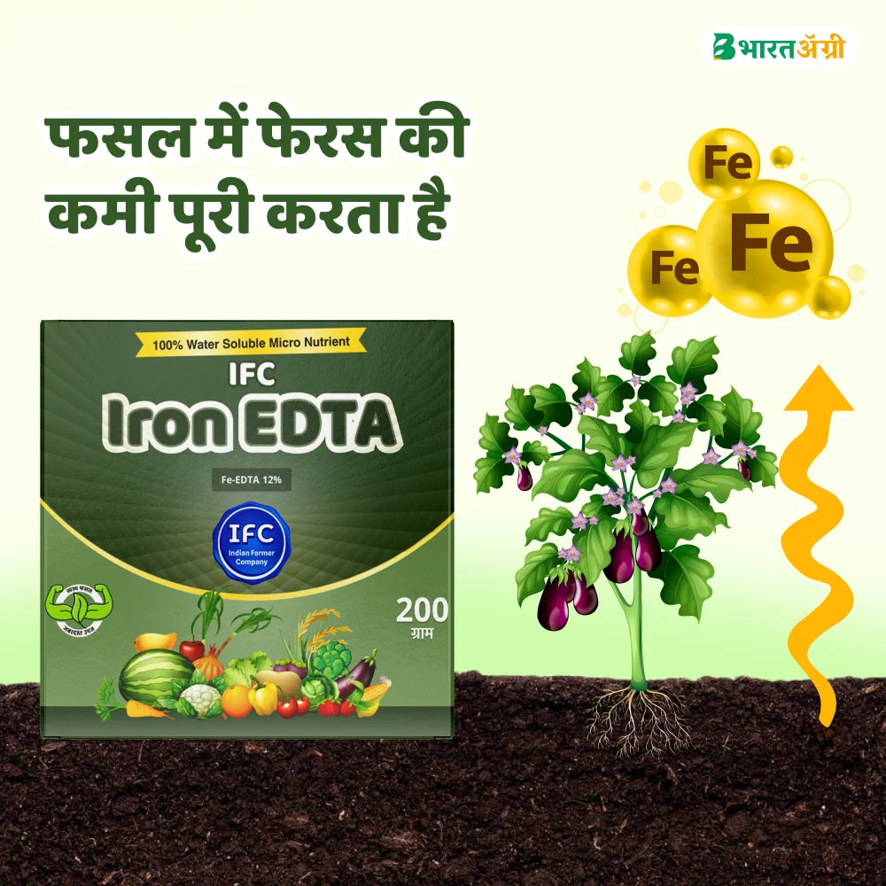 IFC Iron EDTA 12% Water Soluble Micronutrient (1+1 Free)