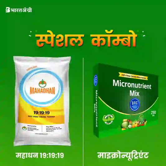 Mahadhan 19:19:19 - 1 kg + IFC Micronutrient - 250 grams (1+1 combo)