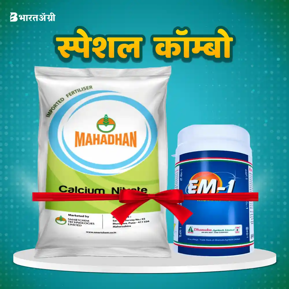 महाधन कैल्शियम नाइट्रेट (1 किग्रा) + धानुका ईएम1 (50 ग्राम) | Mahadhan Calcium Nitrate (1 Kg) + Dhanuka Em1 (50 gm)