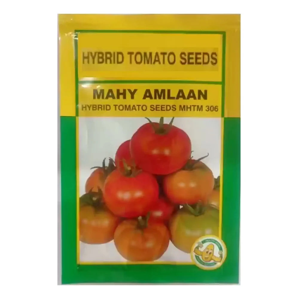 Mahyco Mahy Amlaan (MHTM-306) Tomato Seeds