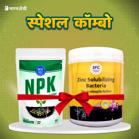 IFC NPK Bacteria (500 gm) + IFC Zinbax (200 gm)