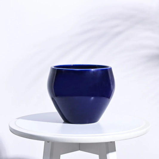 Ugaoo Apple Dark Blue Ceramic Pot