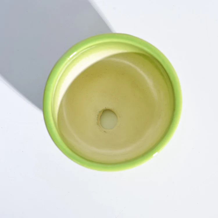 Ugaoo Apple Light Green Ceramic Pot