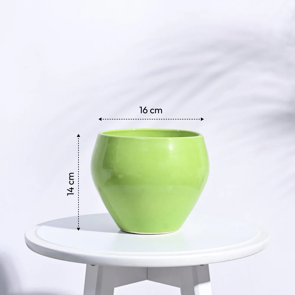 उगाऊ एप्पल हल्का हरा सिरेमिक गमला | Ugaoo Apple Light Green Ceramic Pot