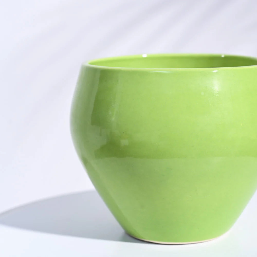 Ugaoo Apple Light Green Ceramic Pot