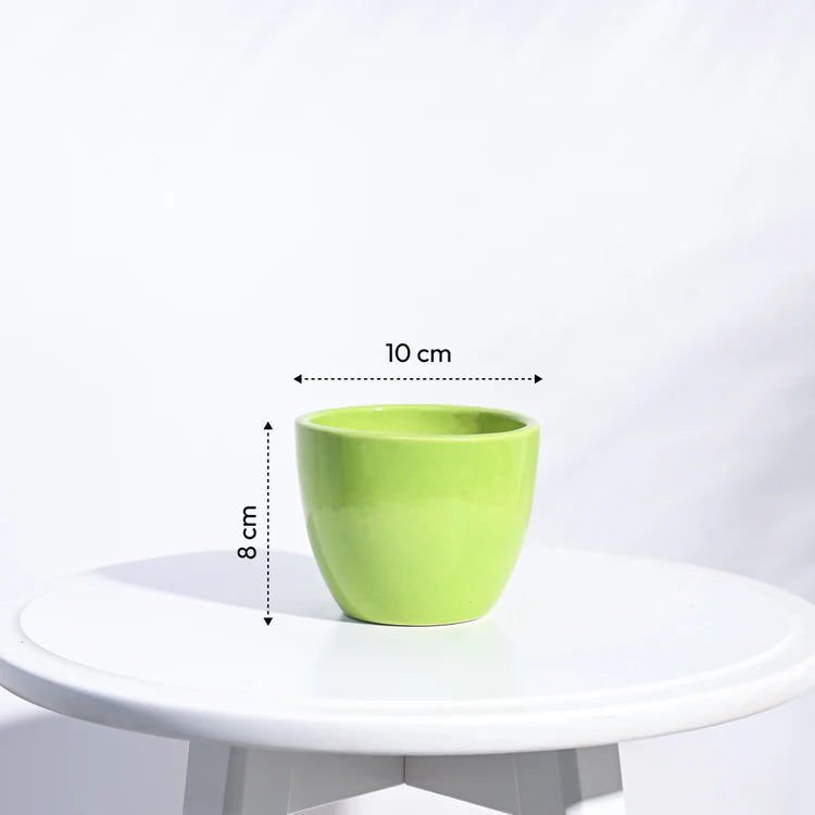 Ugaoo Apple Light Green Ceramic Pot