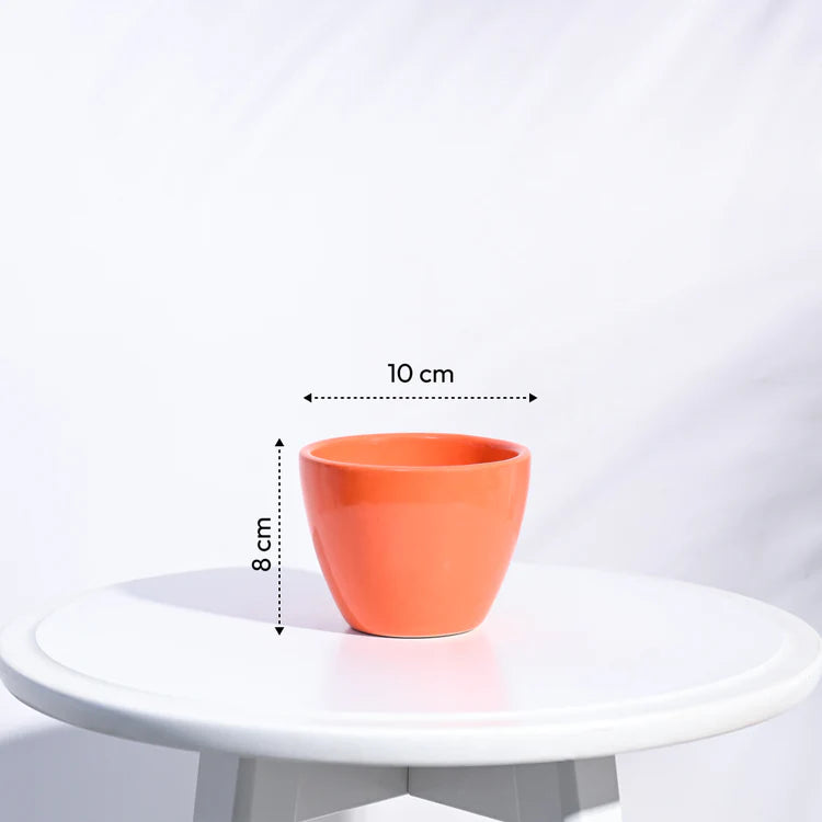 Ugaoo Apple Orange Ceramic Pot