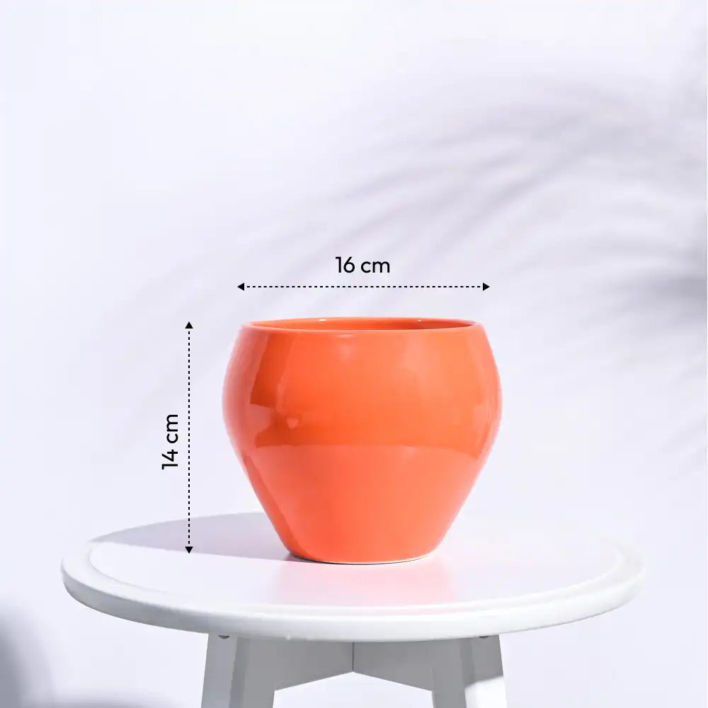 Ugaoo Apple Orange Ceramic Pot