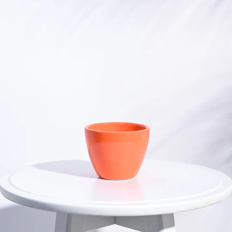 Ugaoo Apple Orange Ceramic Pot