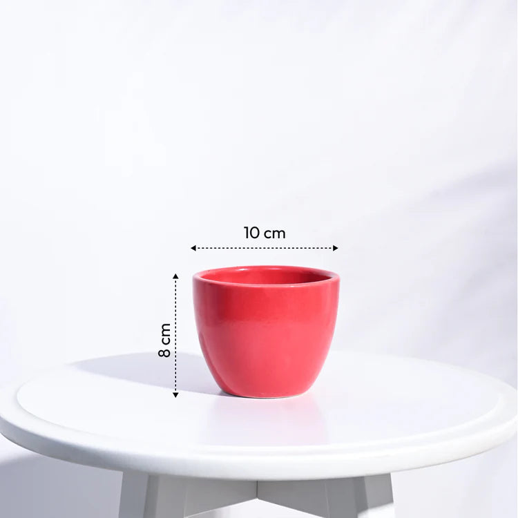 Ugaoo Apple Red Ceramic Pot