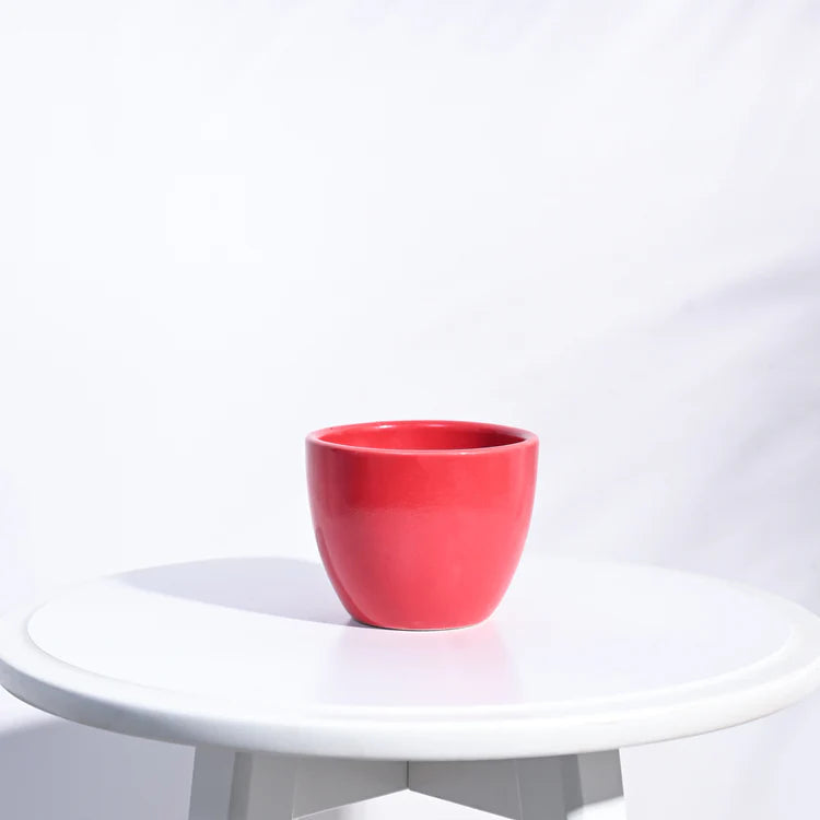 Ugaoo Apple Red Ceramic Pot