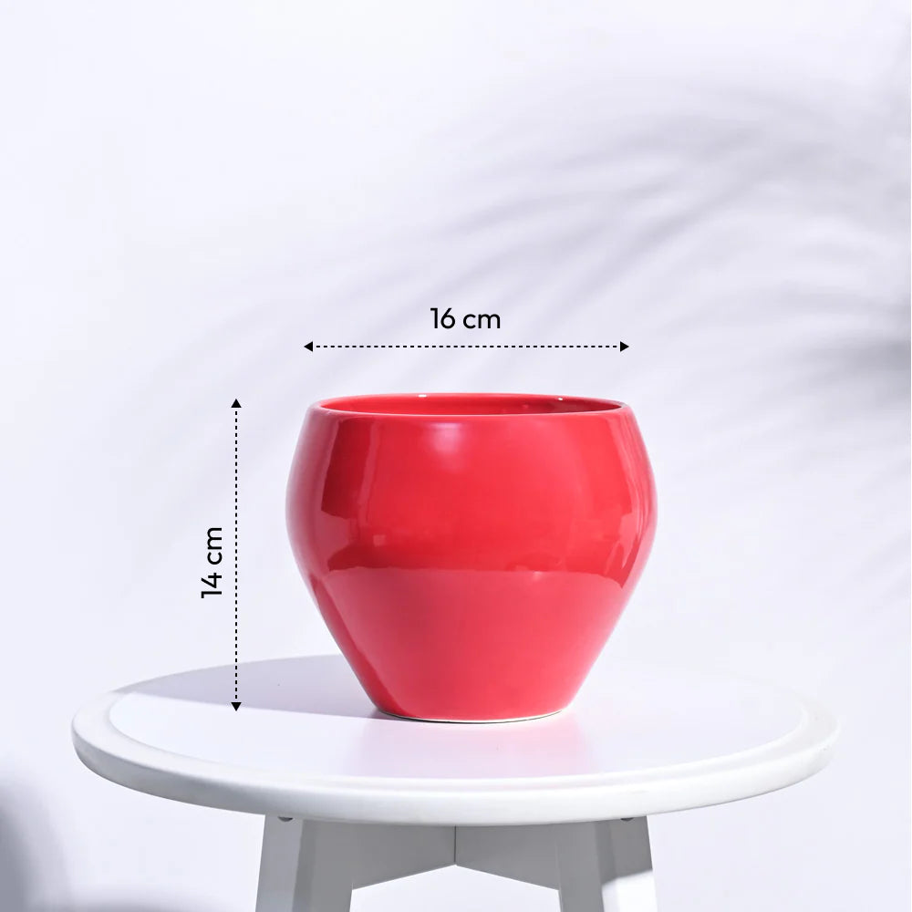 Ugaoo Apple Red Ceramic Pot