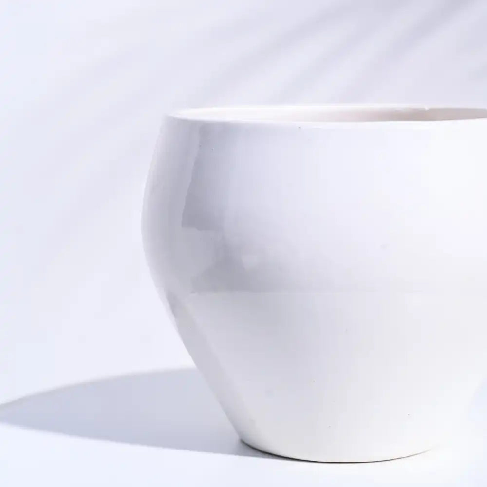 Ugaoo Apple White Ceramic Pot