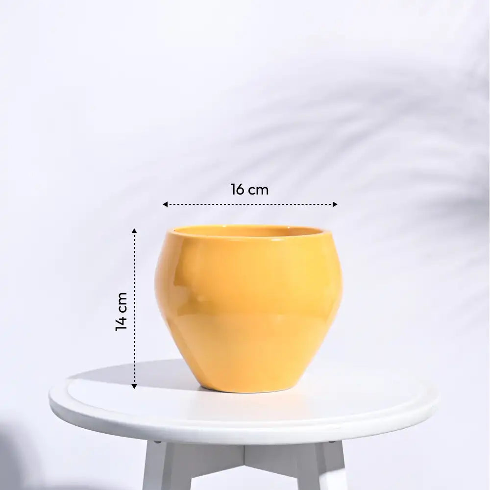 Ugaoo Apple Yellow Ceramic Pot