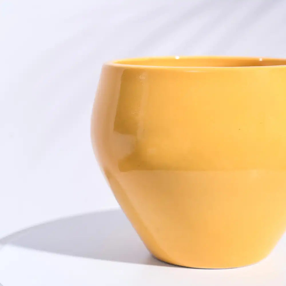 Ugaoo Apple Yellow Ceramic Pot