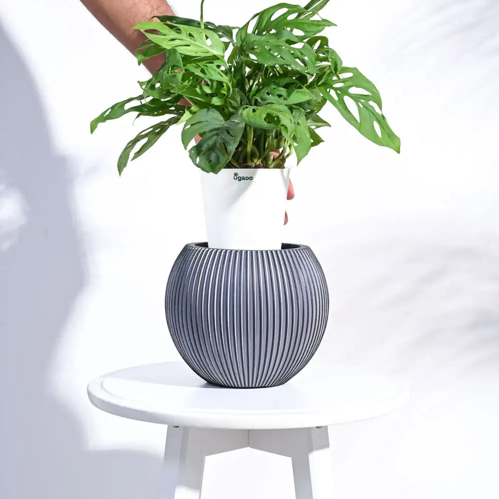 Ugaoo Planter Vase Ball Groove (Black)